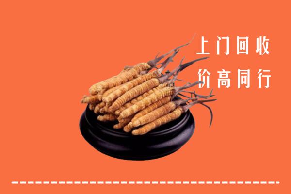 高价求购：商丘回收散虫草