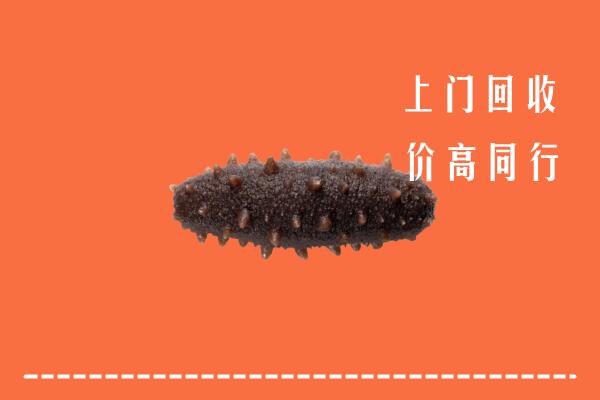 商丘高价回收海参